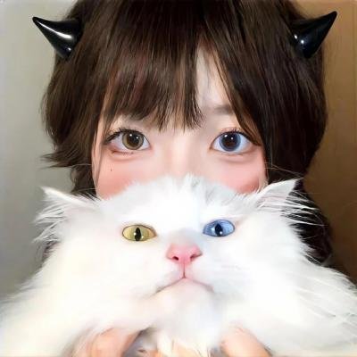 流浪猫鲍勃2：鲍勃的礼物